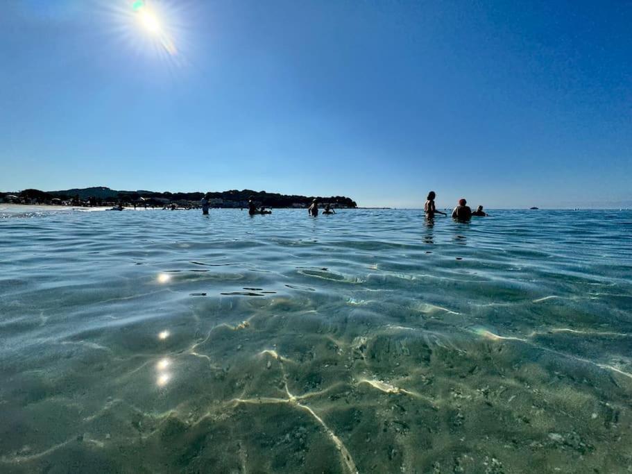 Appart Cosy, Piscine, Clim, Parking Prive - Proche Plage - Arrivee Autonome - Lit Queen Size La Seyne-sur-Mer Zewnętrze zdjęcie